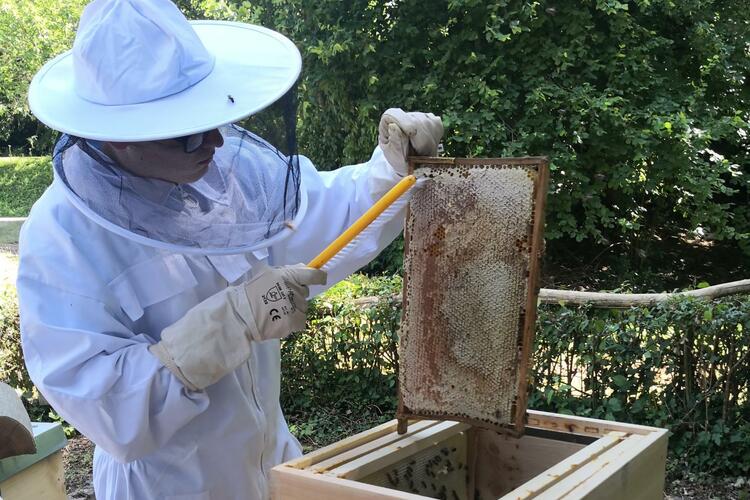 Die Waben sind gefüllt